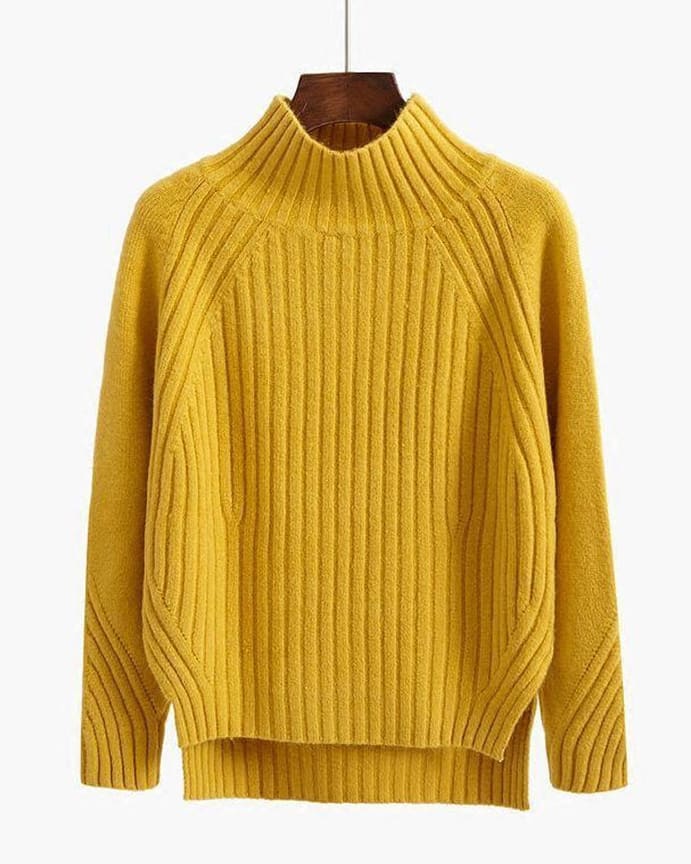 Briar Women's Ribbed High-Neck Winter Jumper