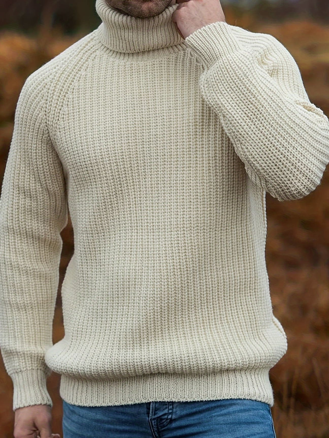 Adrian Men's Roll Neck Knit Jumper